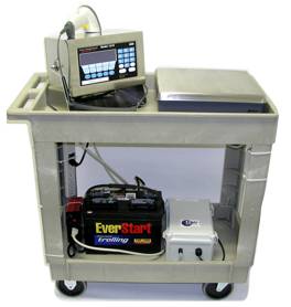 Mobile scale station cart equipped with a Weigh-Tronix 1310, bench scale, and battery with a DC/AC inverter