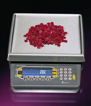 Weigh-Tronix PC820 counting scale
