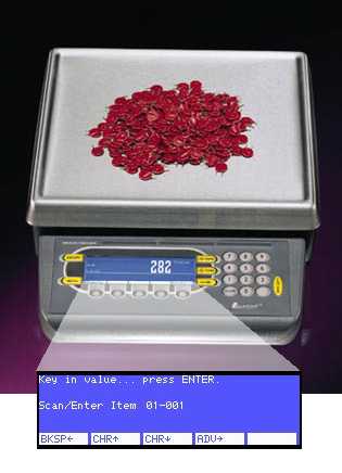 ITRAX Weigh-Tronix PC-820 Counting Application prompting for the Item number to be counted