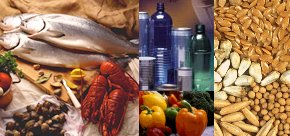 Food & Beverage